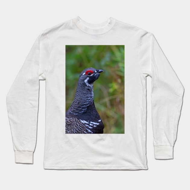 Spruce Grouse - Algonquin Park, Canada Long Sleeve T-Shirt by Jim Cumming
